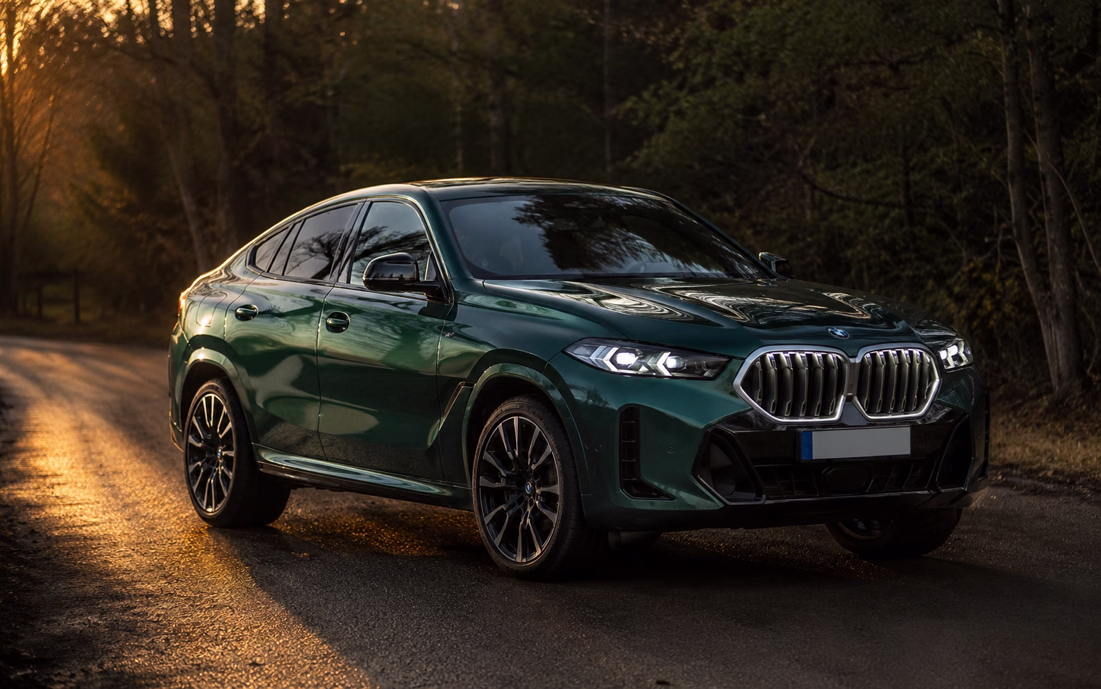 BMW X6 30d xDrive G06 2
